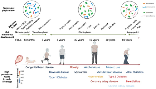 Figure 1. Gut microbiota development and different CVDs in a full life circle.