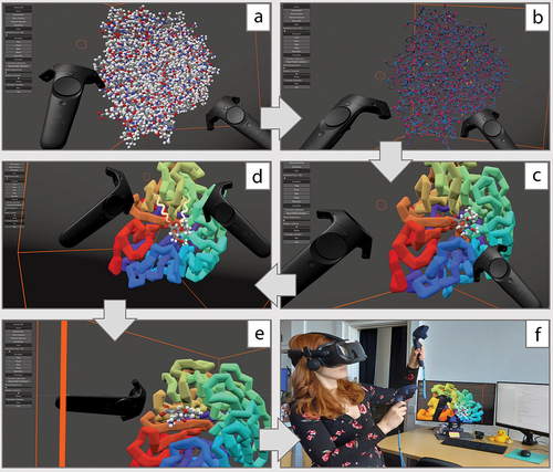 Figure 1. Interactivity for a protein-ligand system in the VR software Narupa IMD [Citation31,Citation32]. A) A protein-drug system (influenza neuraminidase complexed with the neuraminidase inhibitor oseltamivir) shown in the interactive molecular dynamics in virtual reality (IMD-VR) software Narupa IMD, where all atoms are rendered with the default ball and stick renderer. The VR controllers are also rendered in VR, where the orange circle represents the point of interaction with the controller (like a cursor for a mouse). B) Rendering of all atoms changed from ball and stick to lines and a different color scheme. C) The protein is here rendered in the ‘cartoon’ renderer and colored in rainbow, where red represents the N-terminal of the protein and violet represents the C-terminal. The drug is here rendered in the ‘cpm’ renderer and with atomistic colors to differentiate it from the protein. D) By grabbing single atoms of the drug molecule using each VR controller, the user can apply a force to coax the drug out of the active site. The force from the VR controllers is shown by the two light yellow sine waves between the controller and the drug molecule. E) The drug has now started to dissociate from the protein because of the interaction by the user in VR. F) A view of a VR user in real life, where the monitor is showing what the user sees in VR.