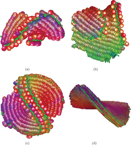 Figure 5. Snapshots of the system with and H=20 forming a double-bilayer by coalescence of two bilayers. (a) Attachment of the child bilayer to the parent at 14.7 M time-steps. (b) The child bilayer growing on top of the parent. (c) and (d) The final formed double-bilayer from two orthogonal views. (a) 14.7 M, (b) 17 M, (c) 38.3 M, (d) 38.3 M