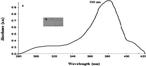 Figure 1. UV–vis spectrum of ZnONPs (A) and sole leather piece coated with synthesized Zinc Oxide nanoparticles (B).
