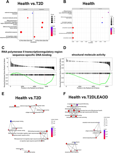 Figure 3 Conserved and differential pathways in T2D and LEAOD patients. (A and B). Dot plot showing significantly enriched activated and suppressed GO pathways. The vertical items are the names of GO terms, and the length of horizontal graph represents the gene ratio. The depth of the color represents the adjusted p-value (adjusted P < 0.05). The area of circle in the graph means gene counts. (C and D). Gene set enrichment analysis (GSEA) based GO enrichment plots of representative gene sets significantly enriched hallmarks between T2D vs normal (left), T2D + LEAOD vs normal (right). (E and F). Enrichment map for GO pathways and overlap with DEG gene-sets. The map indicated the specifically enriched GO pathways in T2D vs normal, T2D + LEAOD vs normal. The size of circle represents the gene counts, the thickness of color represents significance. GO and GSEA analysis was performed by using R package clusterProfiler (version 4.6.2); R package DOSE (version 3.24.2); and R package org. Hs.eg.db (version 3.16.0). The analysis results were visualized by using R package Enrichplot (version 1.18.3). Type 2 diabetes (T2D), lower extremity arteriosclerosis occlusion (LEAOD), Gene Ontology (GO).