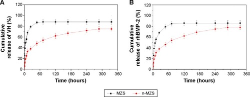 Figure 4 VH (A) and rhBMP-2 (B) release from n-MZS and MZS xerogels.Abbreviations: MZS, magnesium–zinc–silicon; n-MZS, nanoporous magnesium–zinc–silicon; rhBMP-2, human bone morphogenetic protein-2; VH, vancomycin hydrochloride.