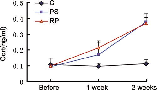 Figure 2  Serum corticosterone concentrations. Groups: C (n = 5), PS (n = 5), and RP (n = 5). Data are expressed as the mean ± SD. Before stress, C, PS and RP did not differ significantly (P>0.05); after 1 and 2 weeks, PS and RP were significantly different from C (P < 0.05). The RP and PS groups did not differ significantly from each other after stress exposure for 1 and 2 weeks (P>0.05).