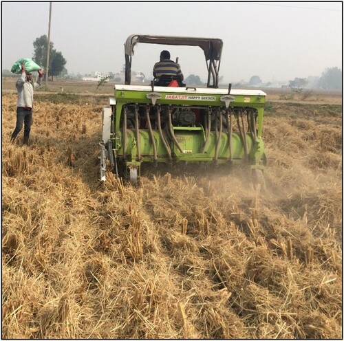 Figure 1. A farmer sowing wheat in the paddy stubbles with Happy Seeder machine.