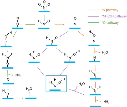 Figure 3. Possible reduction pathways of NOx conversion.