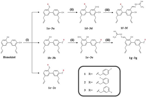 Scheme 1. Design strategy and synthetic route for honokiol derivatives. (i) Fluorobenzylchloride, DMF, Na2CO3, 70–75 °C, 3–6 h. (ii) 25%NaOH, TBAB, CHCl3, 65 °C, 2–3 h. (ii) Acetic acid, aminoguanidine carbonate, 65 °C, 3–4 h.