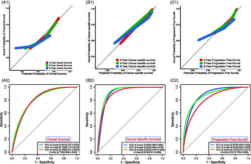 Figure 7. Assessment of the prognostic models. Calibration plots for OS (A1), CSS (B1) and PFS (C1). ROC curves and C-indexes for OS (A2), CSS (B2) and PFS (C2).