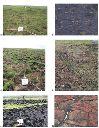 FIGURE 2. Arctic tundra burn severity scene model components for the fire include: (a) unburned prefire, (b) post-fire but pre-green-up, (c) low severity plot with unburned inclusions, (d) moderate severity with elements of char and non-photosynthetic vegetation (NPV), (e) post green-up, with tussock regeneration, and (f) high severity with example of oxidized soils. Photos courtesy of R. Jandt, Alaska Fire Service.
