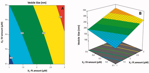 Figure 2. (A) Contour two-dimensional (2D)-plot and (B) response 3D-plot showing the effects and interaction between PL and SV amounts on the vesicle size of CUR–PL–SV nano-phytosomes. CUR: curcumin; PL: Phospholipon® 90H; SV: scorpion venom peptide.