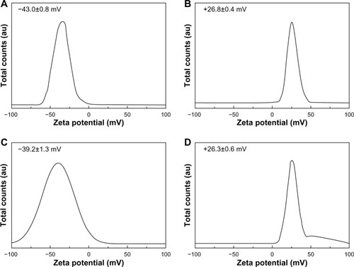 Figure 7 Zeta potential distributions for (A) ZnOSM20(−), (B) ZnOSM20(+), (C) ZnOAE100(−), and (D) ZnOAE100(+) at pH 7.0±0.3 (mean ± standard deviation of n=10).