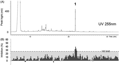 Figure 1. (A) HPLC-UV chromatogram of the ethyl acetate crude extract of P. cinnabarinus FBCC130 at 255 nm. (B) Biological activity of the HPLC micro-fractions against the bioluminescent E. coli K-12 (pTetLux1) strain. The activity in the micro-fractionated P. cinnabarinus FBCC130 extract was associated with one peak (1) in the chromatogram. Each dark grey column represents a well on a 96-well plate. The hit limit (26%), defined as average-3SDs, is shown in light grey. Statistical parameters for the assay plate were Z′ = 0.92, S/N = 40.16, and S/B = 62.18.
