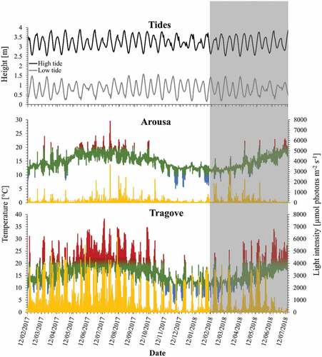 Fig. 4. Data logger records of temperature (°C) and light intensity (irradiance; μmol photons m–2 s–1) at southern sites of Corallina officinalis distribution in the North-east Atlantic, Spain, between February 2017 and July 2018. Light intensity is represented as a yellow line and temperature is represented as the in situ records in the multiple-colour line. Temperatures above 20°C and below 10°C are coloured in red and blue, respectively. Grey areas mark time periods not directly comparable with the other locations, but data loggers continued recording.