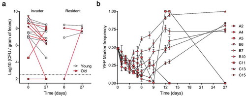 Figure 1. Abundances and adaptive evolution of colonizing E. coli. (a) Bacterial loads per gram of feces of the invader and resident E. coli in old (red symbol, n = 9) and in young mice (gray symbol, n = 7). Each symbol represents the average bacterial loads per gram of feces of each mouse (at least 3 measurements); (b) Temporal dynamics of the frequency of the YFP-labeled E. coli populations evolving in old animals (n = 9). The error bars represent the ±2*SEM.