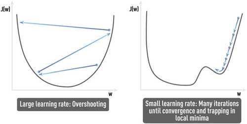 Figure 8. Problems of sub-optimal learning rate (large and small). Finding the optimal SGD parameters that avoid such problems, as ‘trap in local minima’ or ‘very noisy and slow convergence (if any)’, could be challenging and application-dependent without any single universal solution.