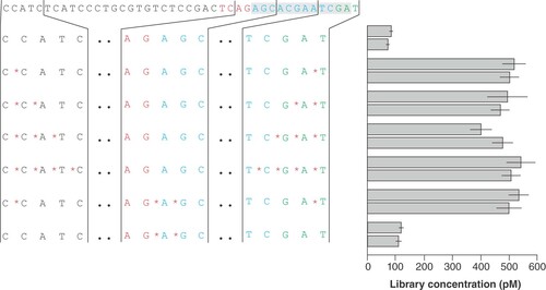 Figure 5. Influence of phosphorothioate bonds on library yield.Design of the top oligonucleotides with barcode BC-042 and varying numbers of phosphorothioate bonds and different positions. Libraries were prepared from 500 ng fragmented Escherichia coli DNA in two independent experiments. The bar plot shows the library yield for each of the designs; mean and standard deviation were calculated from three dilutions used in qPCR quantification. Colored adapter sequence: Black: primer binding sites; red: key; blue: barcode; green: barcode end signal. The adapter part forming the double-stranded stem is shown with grey background.*Phosphorothioate bonds.