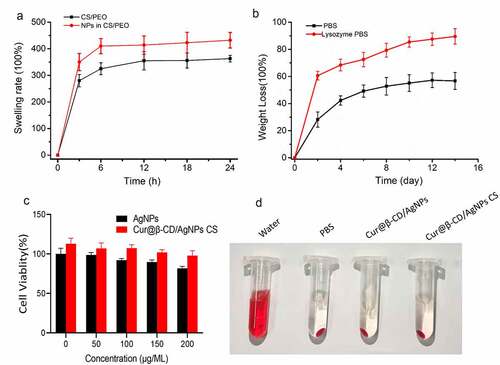 Figure 4. Swelling rate and degradation of Cur@β-CD/AgNPs. (a) The results of swelling test of Cur@β-CD/AgNPs. (b) Results of biodegradation abilities of Cur@β-CD/AgNPs nanofibers. (c) Viabilities of L929 cells at different concentration incubation with the nanofibers. (d) Hemolysis test of the nanofibers.