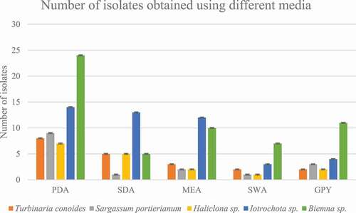 Figure 1. Number of isolates recovered from each sample using different media