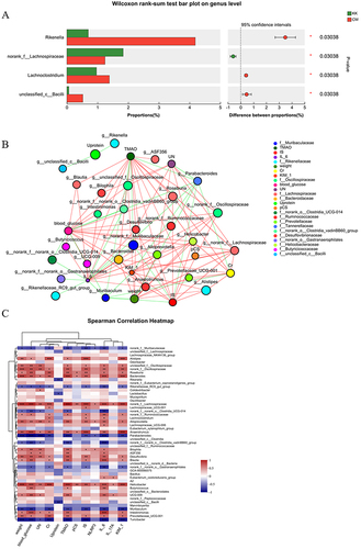 Figure 7 The gut microbiota compositions at the genus level in the model and CM groups. (A) A Wilcoxon rank-sum test bar plot demonstrated significant differences in gut microbiota composition; (B) A two-way correlated network was constructed to delineate the intricate relationships between influencing factors and microbiota; (C) A Spearman Correlation Heatmap was employed to visually represent the strength and directionality of the relationships between influencing factors and microbiota. N≥3; *P< 0.05; **P< 0.01; ***P< 0.001.