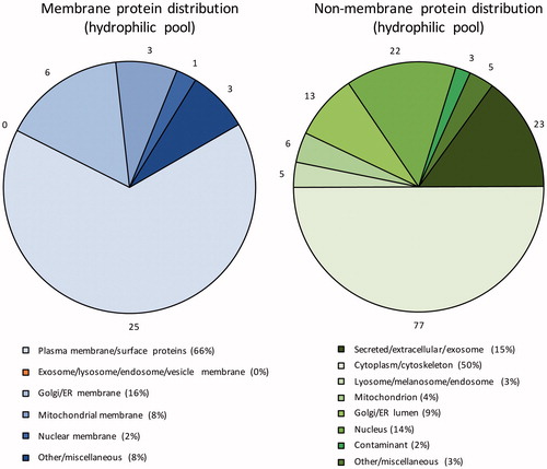 Figure 5. Subcellular localisation of the identified membrane and non-membrane proteins in the hydrophilic fraction based on GO annotations. Numbers outside pie charts represent the actual numbers of proteins identified in each subgroup.