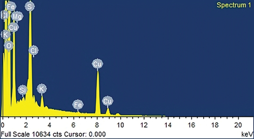 Figure 5. EDAX spectrum of Pedalium murex L. CuNPs.