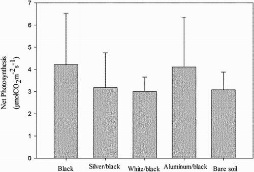 Figure 5. Effect of soil mulching with colored plastic films on net photosynthesis on cucumber pickling plants. Error bars are the standard error of the mean (n = 9).