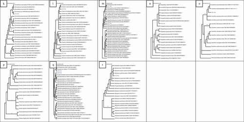 Figure 2. (Continued)