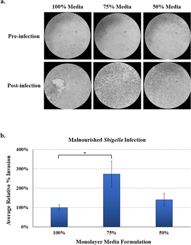 Figure 6. Malnourished monolayer infection analysis. Organoids were trypsinized, seeded onto transwells, and cultured in the 100%, 75%, and 50% media formulations. Following 11 days of culturing and a 48-hour differentiation treatment with DAPT, monolayers were subsequently infected with S. flexneri strain 2457T. Following apical administration of the bacteria, plates were incubated for 3 hours and then treated with gentamicin to kill the extracellular bacteria.