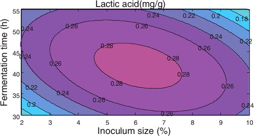 Figure 1. Response surface plot of the lactic acid concentration with respect to inoculum size and fermentation time using the substrate ratio as a centre point.