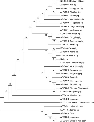 Figure 1. Phylogenetic trees based on the complete mitochondrial genome by Neighbor-joining analysis.