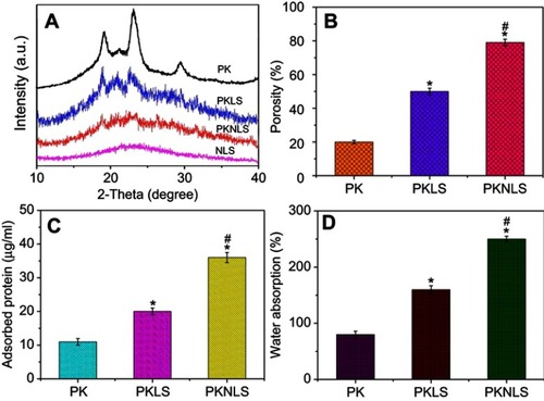 Figure 4 XRD (A) of NLS, PK, PKLS and PKNLS, and porosity (B), protein absorption (C) and water absorption (D) of PK, PKLS, and PKNLS (*p<0.05, vs PK; #p<0.05, PKNLS vs PKLS).Abbreviations: XRD: X-ray diffractometer; NLS: nanoporous Li-doped magnesium silicate; PK: polyetheretherketone; PKNLS: polyetheretherketone–nanoporous lithium-doped magnesium silicate blend; PKLS: PK/lithium-doped magnesium silicate blend.