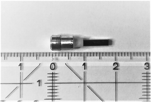 Figure 2. Single crystal of MnSi (1.8 × 2.0 × 8.0 mm³) mounted on the single crystal of NaCl (3.0 × 3.0 × 3.0 mm³) and the AlMg5 capsule plug.