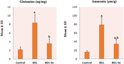 Figure 2. Comparison of brain glutamine and ammonia levels among the experimental groups. Values are presented as mean ± SD.