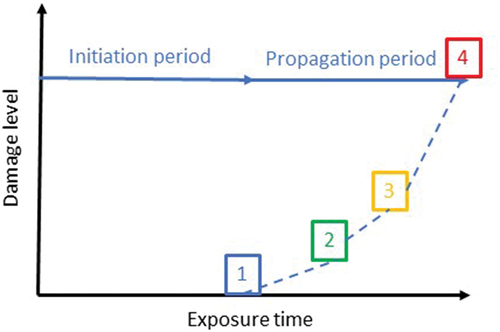 Figure 3. A schematic representation of the current concept for service life design. The limit states for structures affected by reinforcement corrosion are as suggested in the fib Model Code for Service Life Design 2006 (fib, (Fédération International du Béton), Citation2006): 1) depassivation of the reinforcement; 2) crack formation; 3) spalling of cover; 4) structural collapse. Limit state 1 determines the end of the initiation period. Limit states 2 and 3 are typical for carbonation-induced corrosion. Chloride-induced corrosion will either not manifest or do so very late with crack formation or spalling; the main problem is loss of cross section (invisible because corrosion products remain soluble), which suggests ‘loss of cross section’ as a relevant limit state.