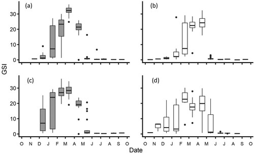 Figure 5. Box and whisker plots of seasonal variation in GSI for Galaxias maculatus collected between October 2018 and September 2019, for A, Kakanui River males, B, Kakanui River females, C, Waikouaiti River males, and (d) Waikouaiti River females.