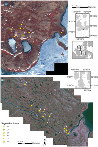 FIGURE 1. Study areas: (A) Cape Bounty Arctic Watershed Observatory, Melville Island, Nunavut, Canada (CB); and (B) Sanagak Lake, Boothia Peninsula, Nunavut, Canada (SL). IKONOS images are displayed as color infrared composites: i.e., bands 4 (near infrared), 3 (red), and 2 (green).
