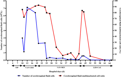 Figure 1 Treatment regimens and CSF cell counts.