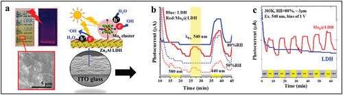 Figure 19. (a) Photographs of the UV-Vis irradiated films, the morphology (left) and cross-section (right) images of the thin film prepared by EPD. (b) the photocurrent controlled by on-off switching procedure under the illumination by different light wavelengths of the LDH and Mo6@LDH films measured at RH of 50% and RH of 80% and 303 K versus the time. (c) the repeatability of the photocurrent responses of the LDH and Mo6@LDH films versus the on-off switching time with λex. = 540 nm. Adapted with permission from 151. Copyright 2020 American Chemical Society.