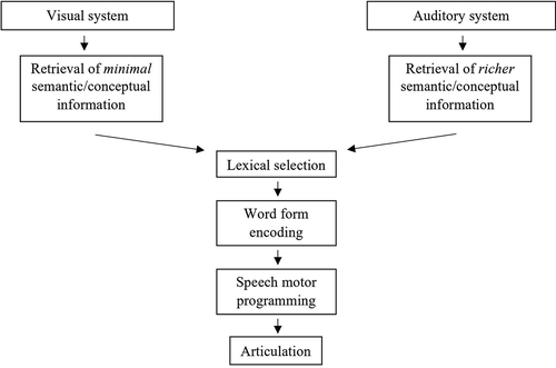 Figure 1. Processes involved in word production in picture naming and in naming from definition tasks (see text for details).