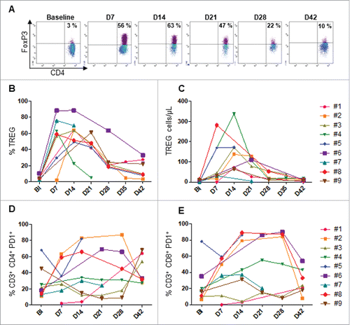 Figure 5. Monitoring of FoxP3+Tregs and PD-1+T through treatment. Flow cytometry analysis was performed from PBMC collected in each patient at the indicated time points. A. Tregs representative plot from one patient (#5). The kinetic of percentage (B) and absolute count of FoxP3+ Tregs are shown. The percentage of PD-1+ CD4 (D) and CD8 (E) T cells are shown. Baseline (BI)