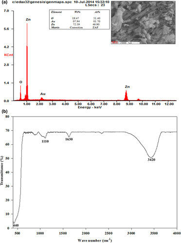 Figure 2. Results of analysis of ZnO nanocrystals by (a) SEM–EDS (b) FTIR.