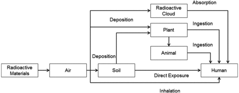 Figure 1. Pathway of gaseous radioactive effluents.
