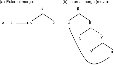 Figure 1. External and internal Merge.