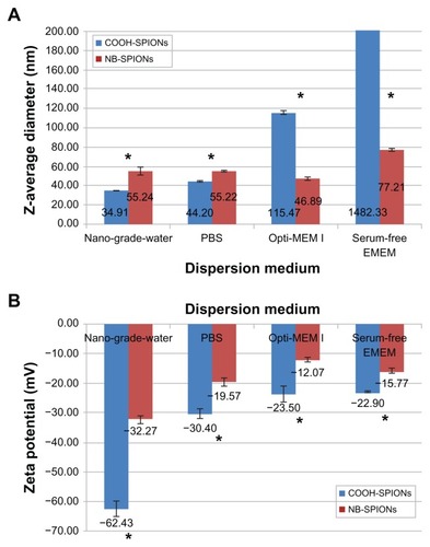 Figure 3 Size (A) and zeta potential measurements (B) of carboxylated (COOH) and nanobarcoded (NB) superparamagnetic iron oxide nanoparticles (SPIONs) in different dispersion media.Note: Asterisks indicate significant difference between NB-SPION and COOH-SPION samples in the same medium (P < 0.05).Abbreviations: EMEM, Eagle’s minimum essential medium; PBS, phosphate-buffered saline.