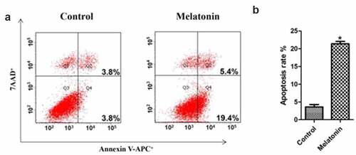 Figure 5. Effect of melatonin on apoptosis of LC cells. Control: the blank control group; Melatonin: the melatonin group. (a): Flow cytometry results. (b): bar graphs with errors bars. *Compared with the control group, there existed a statistical significance, P < 0.05.