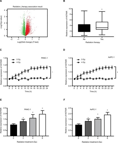 Figure 2 The effect of radiation on HOTAIR expression in PC samples and cells.Notes: (A) Volcano plots reporting the adjusted P-value and the log2 fold change of gene expression profile. Red points represented upregulated genes and green points represented downregulated genes. (B) HOTAIR expression was analyzed in 119 PC patients who received radiotherapy and 44 PC patients without radiotherapy. (C, D) HOTAIR expression was detected in PANC-1 and AsPC-1 cells every 2 hours after 0 or 4 Gy of radiation treatment. (E, F) HOTAIR expression was detected in PANC-1 and AsPC-1 cells after different doses (0, 2, 4, 6 Gy) of radiation treatment for 24 hours. *P<0.05.Abbreviations: HOTAIR, HOX transcript antisense RNA; PC, pancreatic cancer.