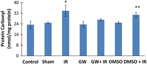 Figure 5 Liver protein carbonyl content. IR, ischemia–reperfusion; GW, animals treated with GW 4869; DMSO, group treated with dimethyl sulfoxide. All pairwise multiple comparisons were done by Dunn's method.*, p<.05 compared to control, sham, GW and DMSO. **, p<.05 compared to control and GW.