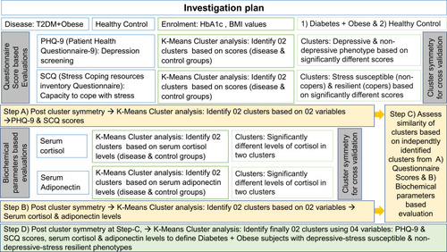 Figure 2 The figure demonstrates investigation plan of the study.