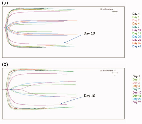 Figure 3. (a) TEG analysis results for an animal that survived to post irradiation Day 45. The individual tracings are coded by color. (b) TEG analysis results for an animal that was euthanized for moribund condition on post irradiation Day 25. The individual tracings are coded by color.