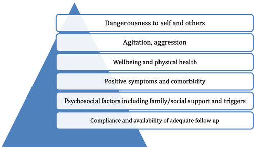 Figure 3 Factors to be addressed and hierarchy of needs in order to discharge patients with schizophrenia.