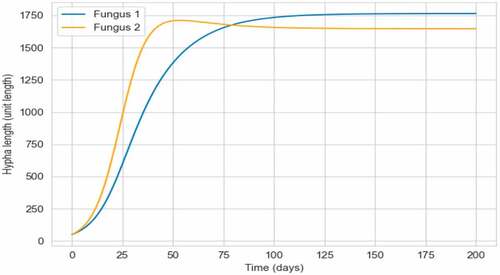 Figure 10. Ideally two fungi competing growth curves.